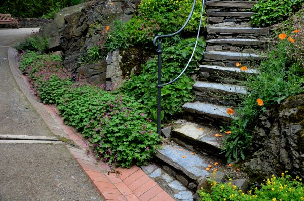 Stone Step Rehabilitation